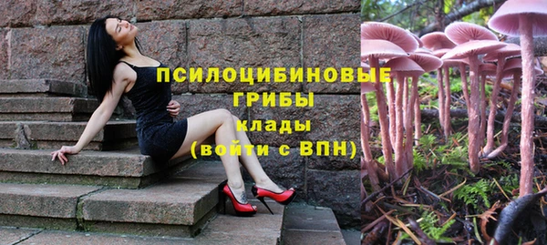 MDMA Богородск