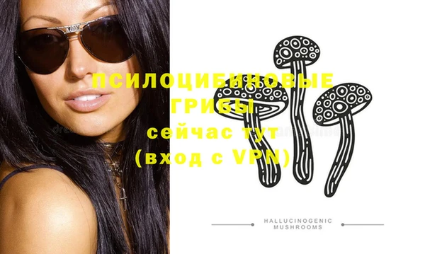 спиды Богородицк